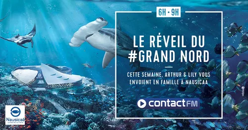 LE RÉVEIL DU GRAND NORD VOUS ENVOIE A NAUSICAA