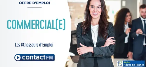 Offre d'emploi : Commercial