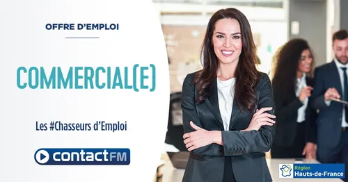 Offre d'emploi : Commercial