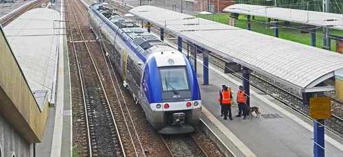 La SNCF recrute une centaine de personnes dans les Hauts-de-France