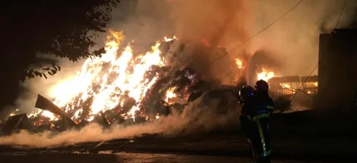 Pas-de-Calais : des milliers de lapins périssent dans l'incendie...