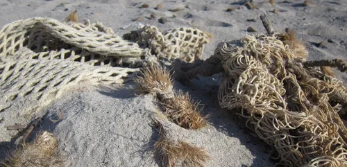 Pollution : une application pour signaler les déchets de pêche sur...