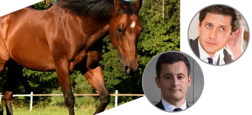 Deux ministres au chevet des chevaux mutilés dans l'Oise