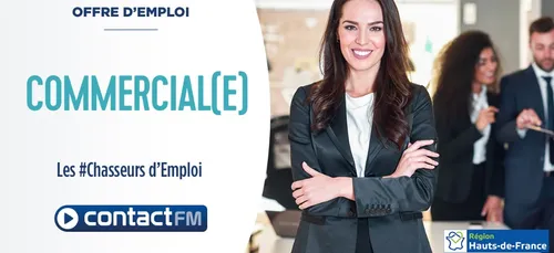 Offre d'emploi: Commercial B to B