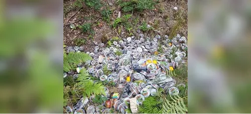 L'homme qui a déposé des déchets en forêt de Mormal a été condamné