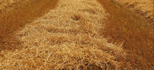 Un observatoire de "l'agribashing" créé dans la Somme