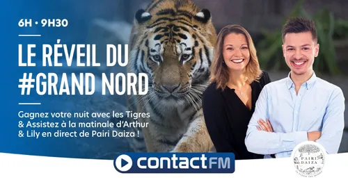 GAGNEZ VOTRE SÉJOUR EN FAMILLE AVEC LES TIGRES, A PAIRI DAIZA !